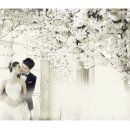 스튜디오소피아 이미지