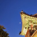 투어플레저