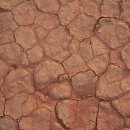 느티나무한의원 이미지