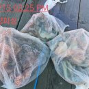 삼천포대양낚시