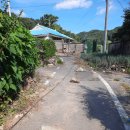 기룡리마을회관 | 임장 후기 / 세종시 토지