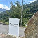 스테이 팔랑 이미지