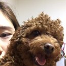 해피한 멍 이미지