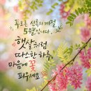 죄송합니다. 이미지