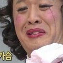 댕댕이 유치원 이미지