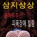 삼지상상 : 우주선피폭장애 시범 힐링 이미지