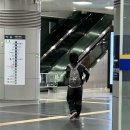 야채사랑 - 춘천시 영서로 2352-16 | 야채사랑
