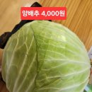 울산태화시장 태화장날 주차장팁