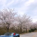 백옥대로753번길 이미지