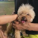 상림목장 이미지