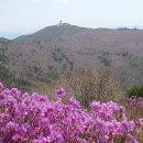 초은고 사거리(초은고) 이미지