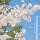 기노스코 - 서구 옥빛로13번길 2 | 기노스코