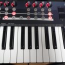 Novation - Noctrn 25 판매 20만 이미지