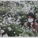 즐거운 서예교육 이미지