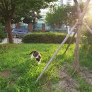 서울떡방아간 이미지