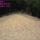 전곡읍-24 이미지