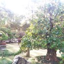 분재공원 화장실 이미지