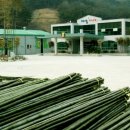 영농조합법인 양지엔텍 이미지