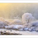 하얀낭만 이미지