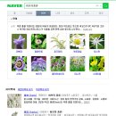 (주)허 브 이미지