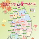 2024년도 산림 단풍 예측지도 이미지