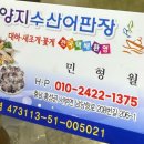 양지초장 | 충남 홍성 남당항 새조개, 주꾸미 맛집 양지수산 내돈내산 새조개샤부샤부 후기