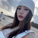 제노젠 이미지
