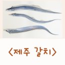 곱닥한 | 제주동문시장갈치택배 제주 갈치구이 맛집 제주갈치 조림 왕갈치 선물세트 제주곱닥한갈치 고메제주 갈치