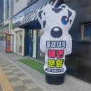 플레이독 남양주점 이미지