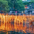 주식회사 큰별푸드 이미지