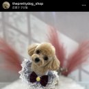 더 이쁘개 이미지