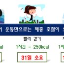 챔피언점핑다이어트 네이버블로그