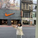 미씨콜렉션 이미지