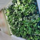 솔빛로22번길 이미지