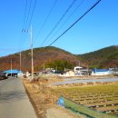 고령주유소 이미지