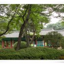 중앙동 온온사 옆 이미지