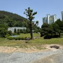 어도참치 - 안산시 단원구 광덕2로 163-5 | +공주+ 공주횟집 어도활어참치 점심특선 한상 메뉴 후기