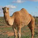 혹불이 영감 이미지