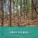구름바다 독채 풀 빌라 | 대부도펜션 구름바다 독채 풀빌라 편안한 휴식 공간으로 추천드립니다
