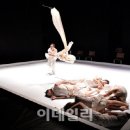 봄의 제전 이미지