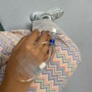 장샘기타교습소 | [입원일기1] 8cm 다발성 자궁근종 | 자궁근종 발견, 인생 첫 입원과 수술 후기