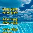 금(金)보다 귀한 양파는 100세 장수식품 이미지