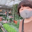 태리로제떡뽁이 이미지