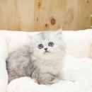 부천민박 이미지