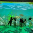 농촌테마공원1 이미지