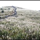 원두막주유소 이미지