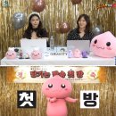 주식회사 겜프스엔 이미지