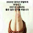 김포고정낚시터