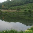 조치원낚시터 이미지