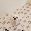 송내동3 이미지